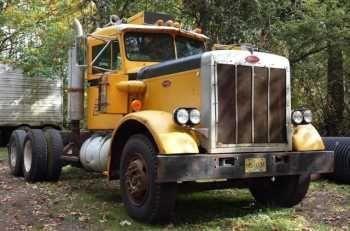 Peterbilt 359 Truck Cab and Chassis